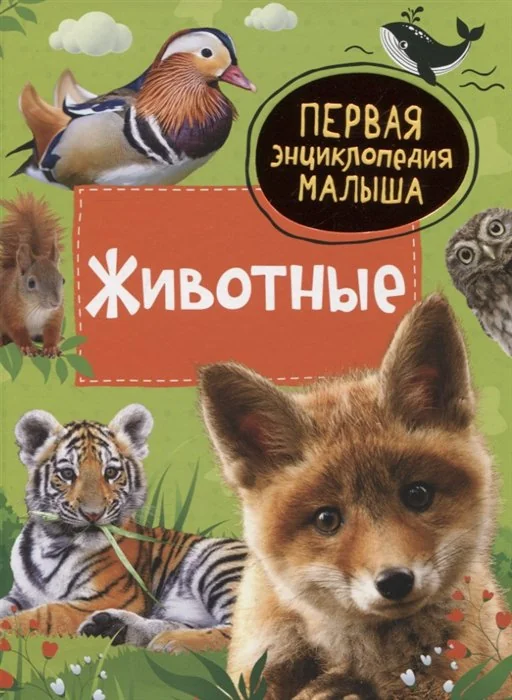 Обложка книги «Животные»