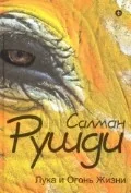 Обложка книги «Лука и Огонь Жизни»