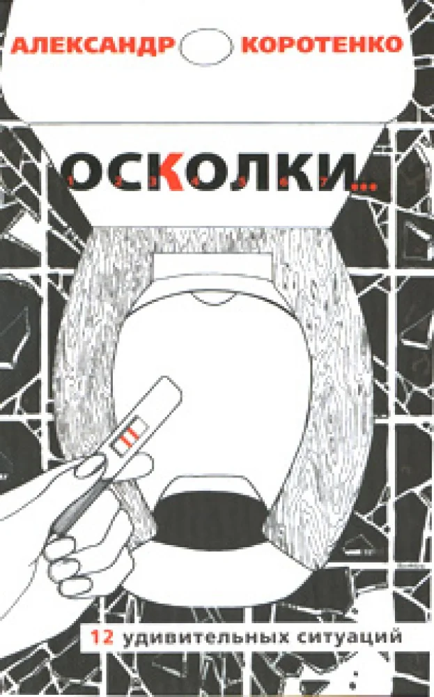 Обложка книги «Осколки. 12 удивительных ситуаций»