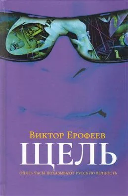 Обложка книги «Щель»