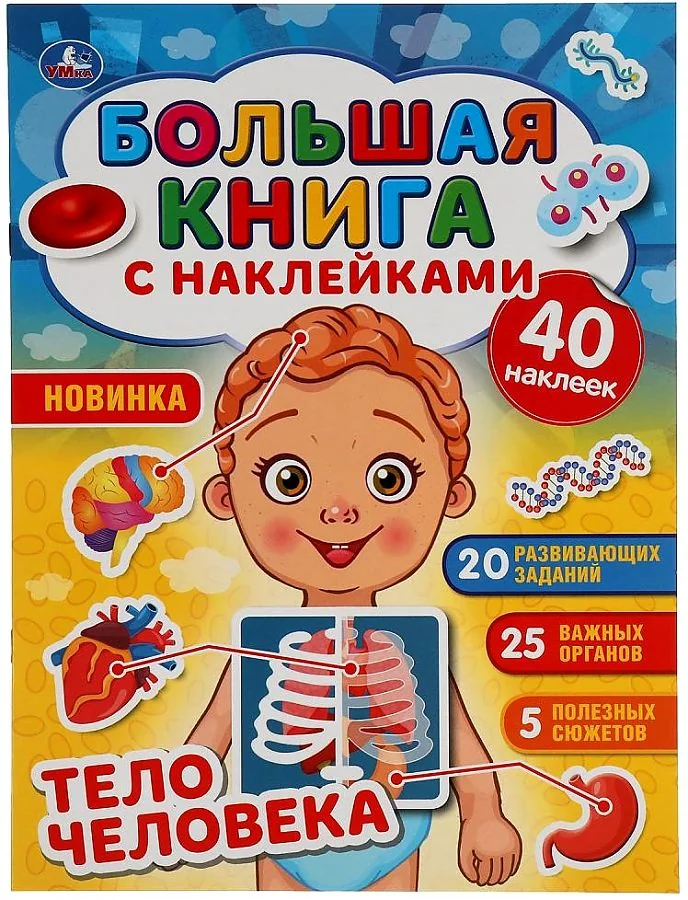 Обложка книги «Тело человека. Большая книга с наклейками»