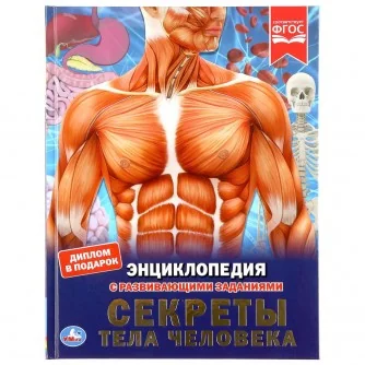 Обложка книги «Секреты тела человека (ЭНЦИКЛОПЕДИЯ А4)»