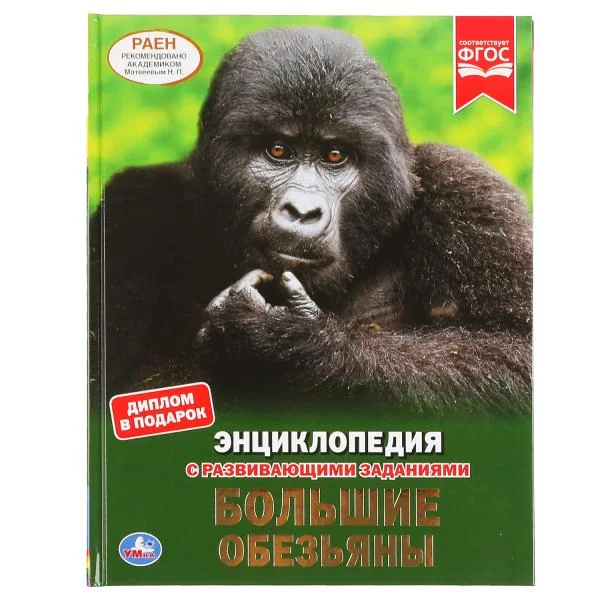 Обложка книги «Большие обезьяны»