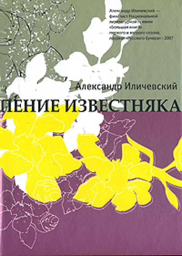 Обложка книги «Пение известняка»