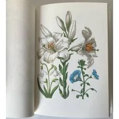 Обложка книги «Neues Blumenbuch»
