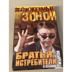 Обложка книги «Братья-истребители»