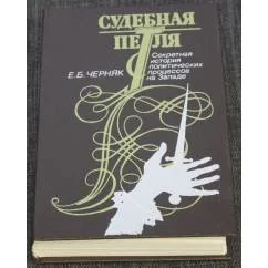 Обложка книги «Судебная петля. Секретная история политических процессов на Западе»