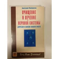 Обложка книги «Очищение и лечение нервной системы. Депрессия и болезни головного мозга»