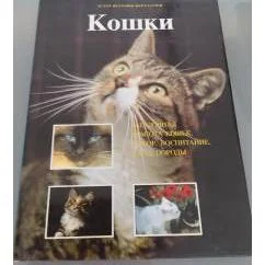 Обложка книги «Кошки»