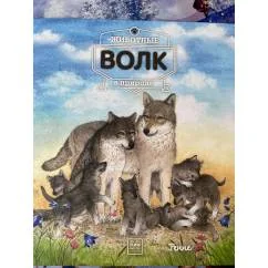 Обложка книги «Животные в природе. Волк»