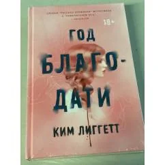 Обложка книги «Год благодати»