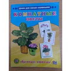 Обложка книги «16 обучающих карточек. Комнатные цветы»