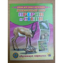 Обложка книги «16 обучающих карточек. Животный мир. Прерии и степи»