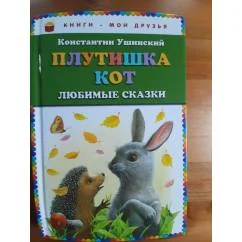 Обложка книги «Плутишка кот»