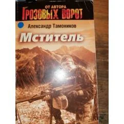 Обложка книги «Мститель Боевик»