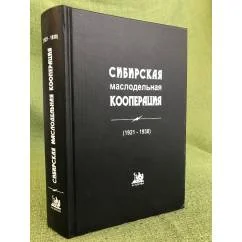 Обложка книги «Владимир Беклемишев - пророк XX века»