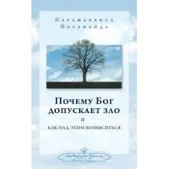 Обложка книги «Почему бог допускает зло»