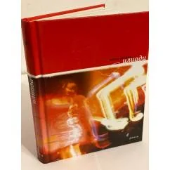 Обложка книги «Илиади: Книга песен. Роман»