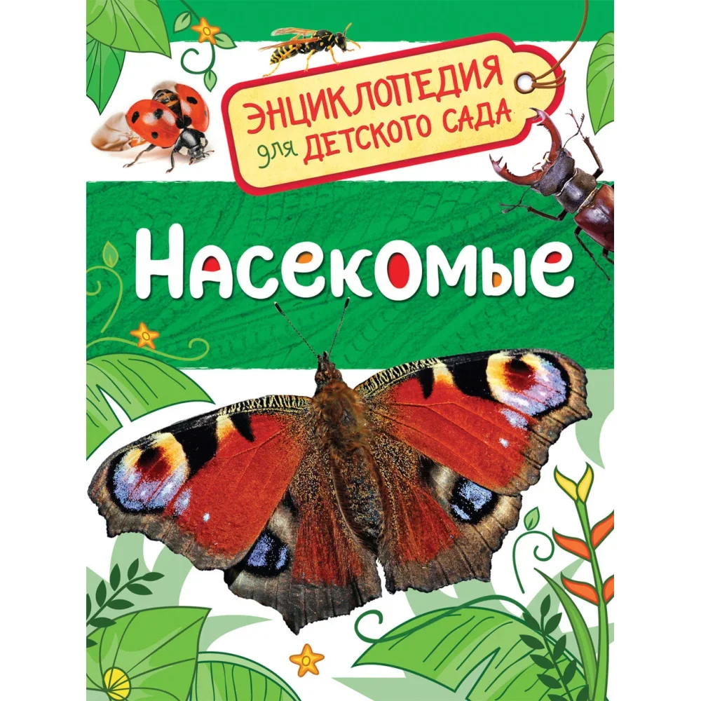 Обложка книги «Насекомые. Энциклопедия для детского сада»