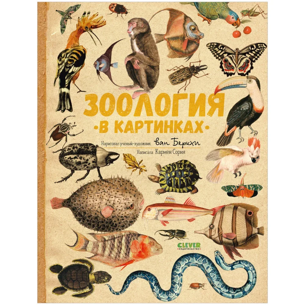 Обложка книги «Зоология в картинках. Энциклопедия для детей»