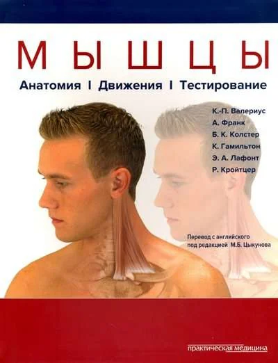 Обложка книги «Мышцы. Анатомия. Движения. Тестирование»