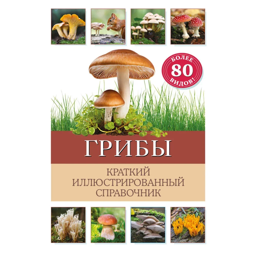 Обложка книги «Грибы. Краткий иллюстрированный справочник»