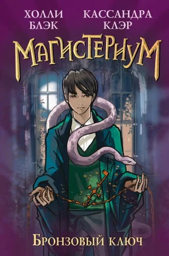 Обложка книги «Бронзовый ключ (#3)»