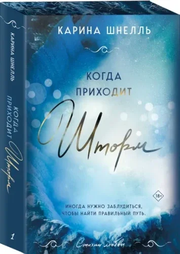Обложка книги «Когда приходит шторм»