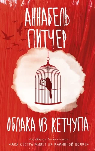 Обложка книги «Облака из кетчупа»