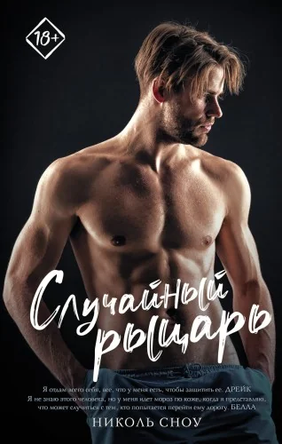 Обложка книги «Случайный рыцарь»