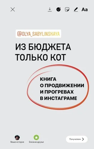 Обложка книги «Из бюджета только кот. Книга о продвижении и прогревах в инстаграме»