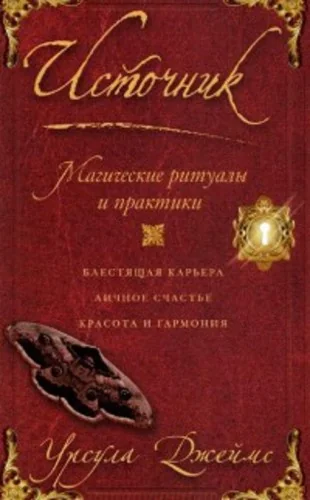 Обложка книги «Источник. Магические ритуалы и практики»