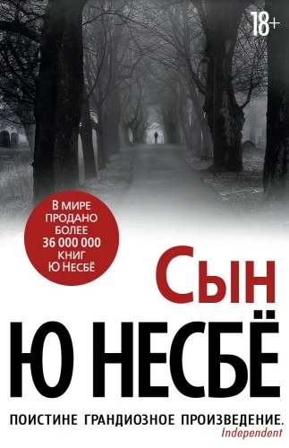 Обложка книги «Сын (нов/оф.)»