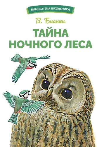 Обложка книги «Тайна ночного леса»