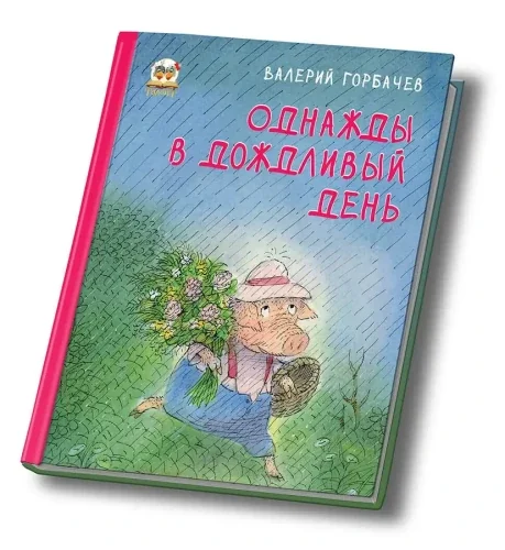 Обложка книги «Однажды в дождливый день»