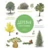 Обложка книги «Деревья и кустарники»