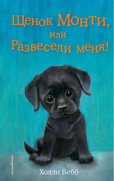Обложка книги «Щенок Монти, или Развесели меня!»