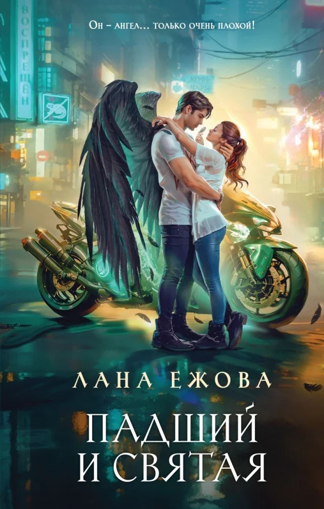 Обложка книги «Падший и Святая»