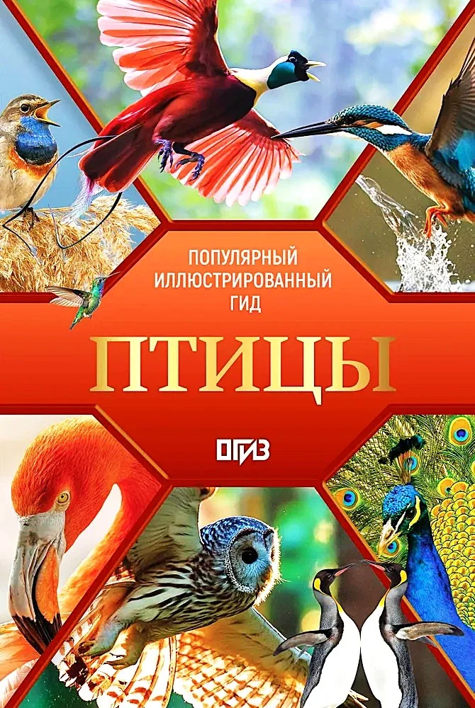 Обложка книги «Птицы. Иллюстрированный гид»