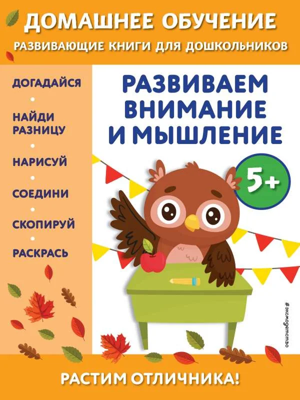 Обложка книги «Развиваем внимание и мышление: для детей от 5 лет»