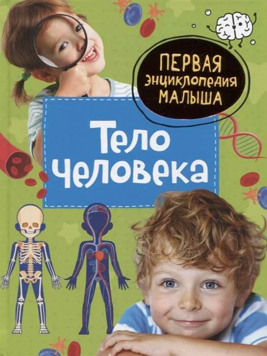 Обложка книги «Тело человека. Первая энциклопедия малыша»