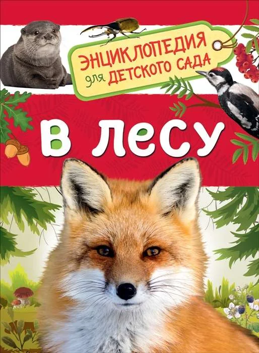 Обложка книги «В лесу. Энциклопедия для детского сада»