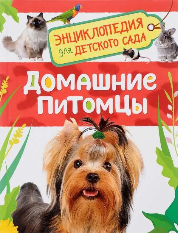 Обложка книги «Домашние питомцы. Энциклопедия для детского сада»