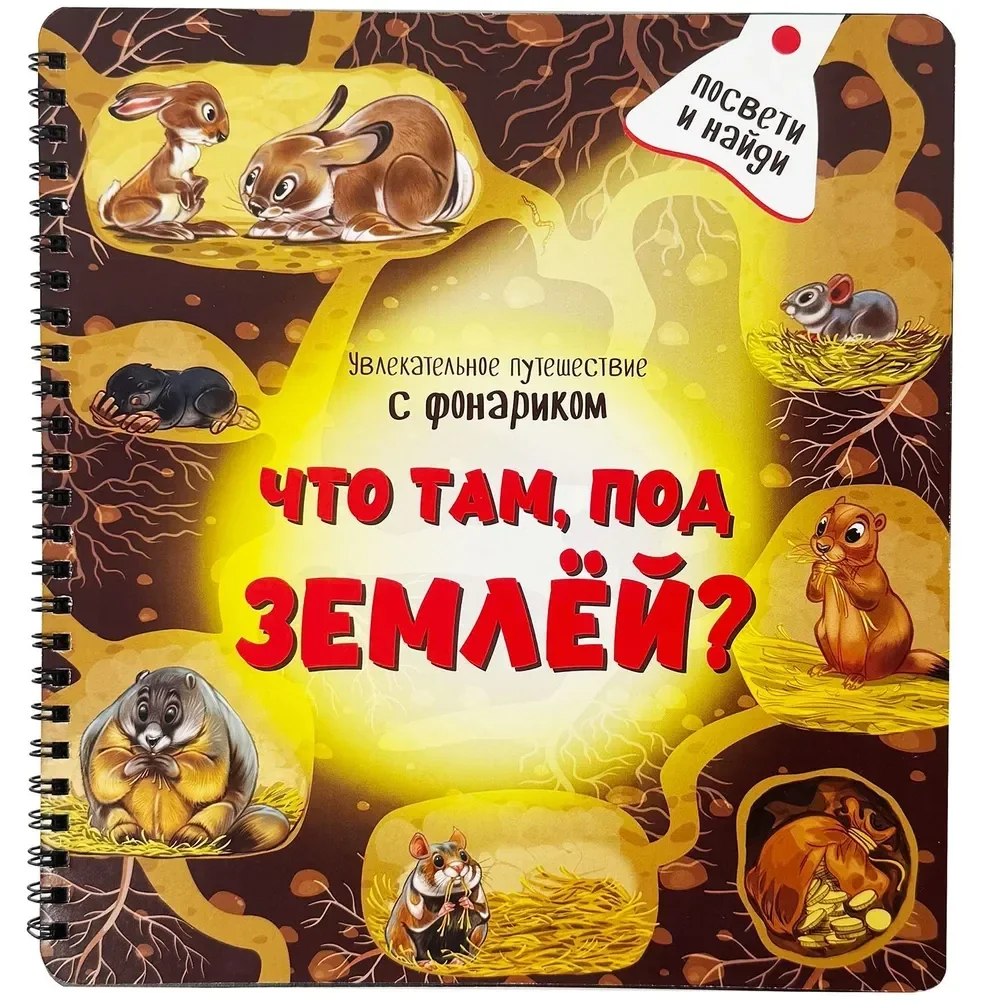 Обложка книги «Что там, под Землёй?»