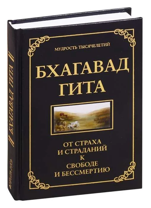 Обложка книги «Бхагавад гита. От страха и страданий к свободе и бессмертию. 5-е изд»