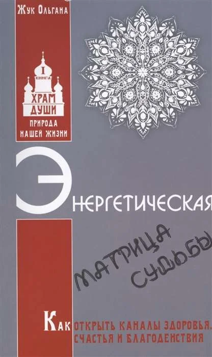 Обложка книги «Энергетическая матрица судьбы. Как открыть каналы здоровья, счастья и благоденствия. Кн. 1»