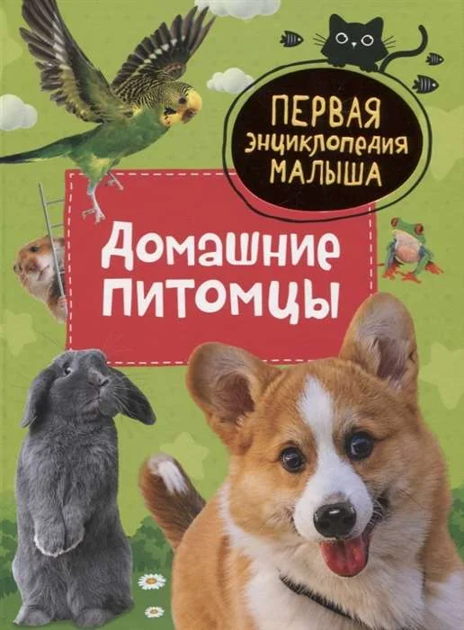 Обложка книги «Домашние питомцы»