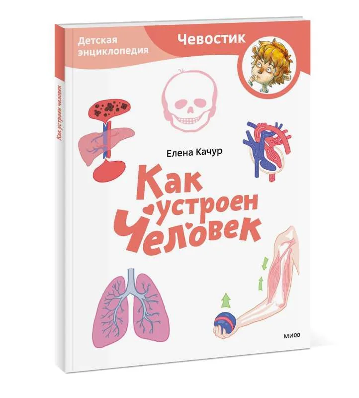 Обложка книги «Как устроен человек. Детская энциклопедия (Чевостик)(мягкий переплёт)»