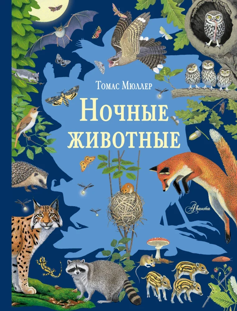 Обложка книги «Ночные животные»