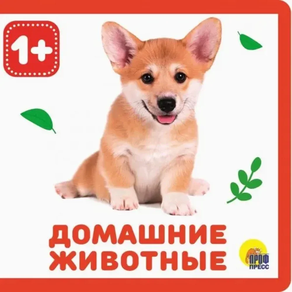 Обложка книги «Домашние животные»
